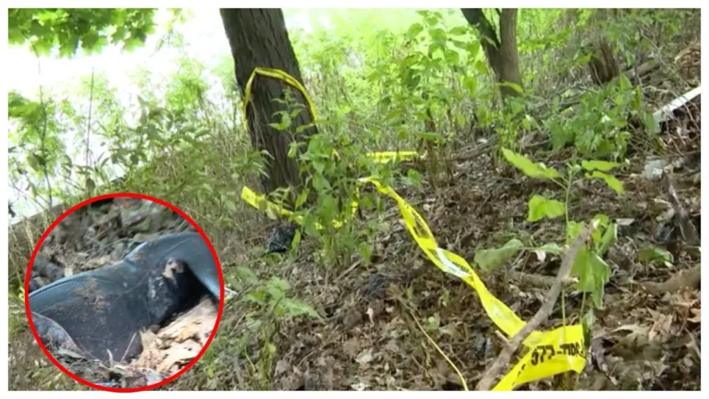 Mujer dominicana muere tras ser atacada por su hijo en Manhattan Madre