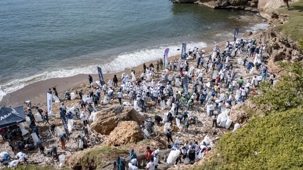 Medio Ambiente llama a crear conciencia sobre gestión de residuos sólidos residuos sólidos