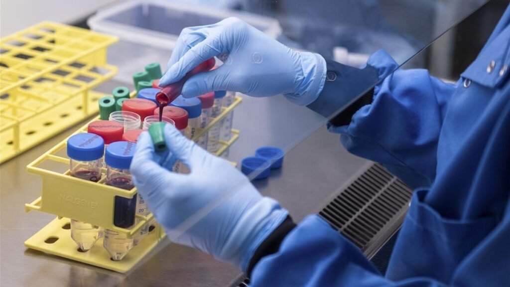 Crean vacuna bacterian logra suprimir cáncer en ratones y frena metástasis Crean vacuna bacterian logra suprimir cáncer en ratones y frena metástasis