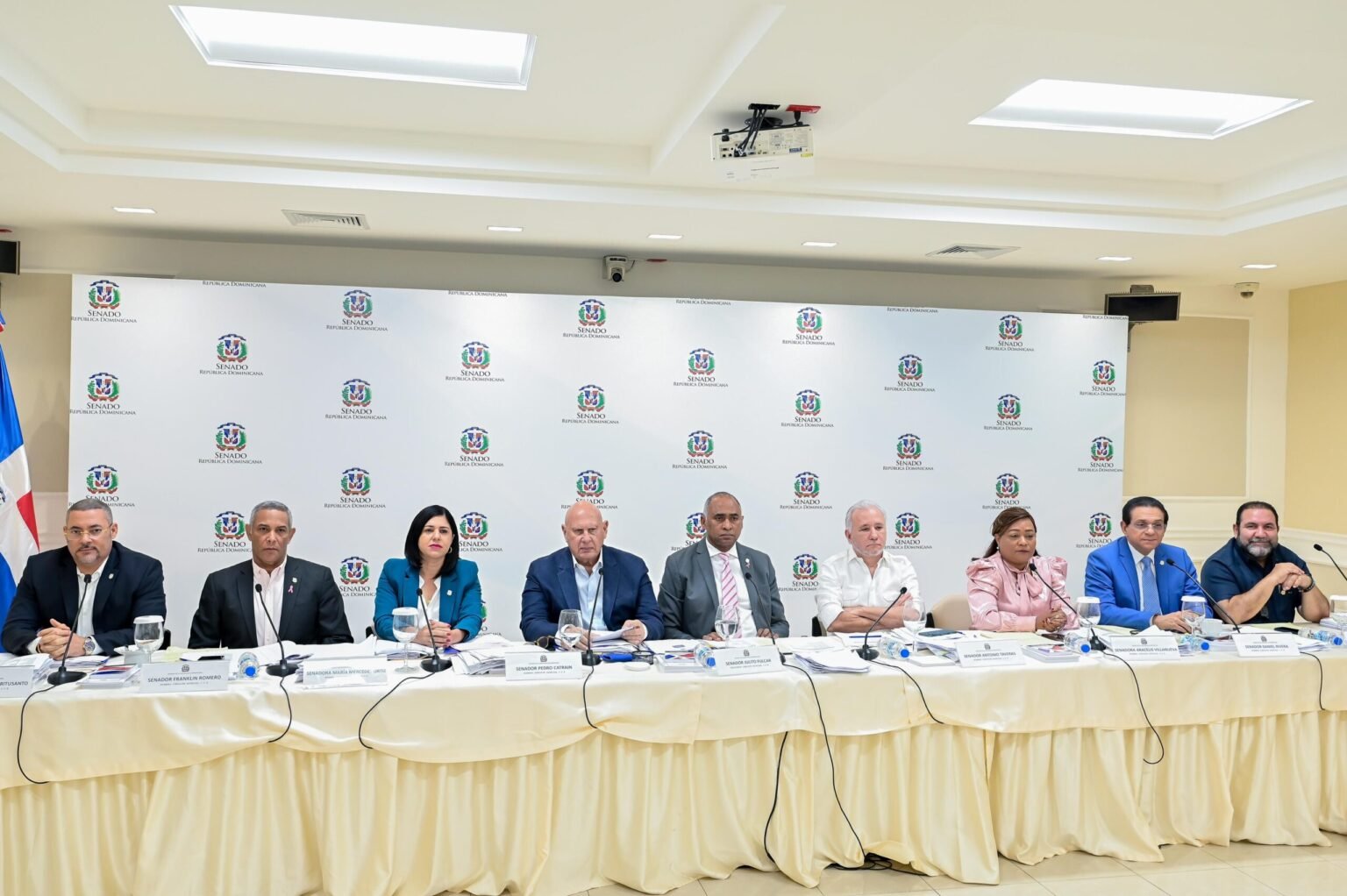 Senado preselecciona 30 candidatos para integrar la nueva Junta Central Electoral