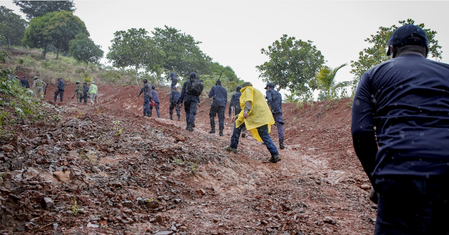 Intervienen proyecto agrícola ilegal en Loma Siete Picos; detienen a cuatro personas Intervienen proyecto agrícola ilegal en loma Siete Picos; detienen a cuatro personas