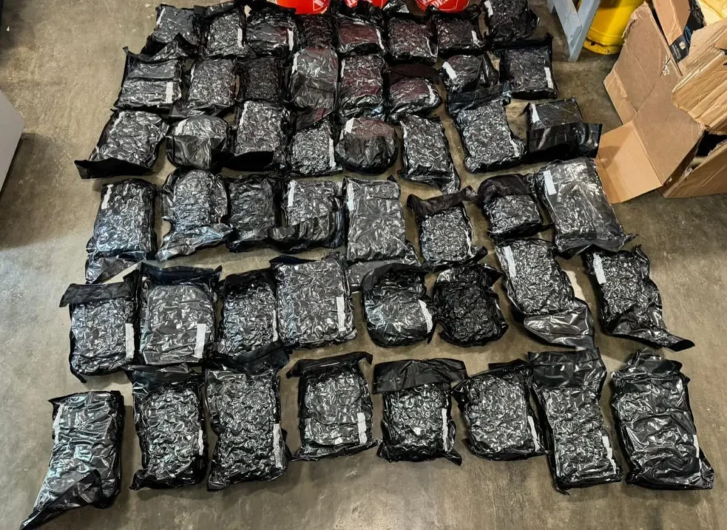 Confiscan 57 paquetes de marihuana en el AILA Confiscan 57 paquetes de marihuana en el AILA