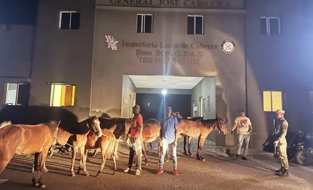 Detienen a dos haitianos al intentar cruzar animales de manera ilegal a través de una zona no autorizada entre la RD y Haití Detienen