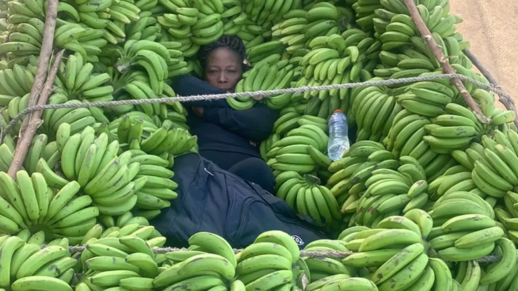 Someten a la justicia a tres dominicanos por tráfico de haitianos indocumentados