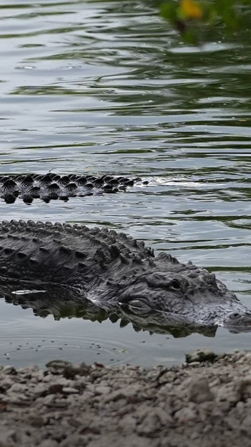 James Uthmeier propone convertir aeropuerto de Florida en prisión de inmigrantes