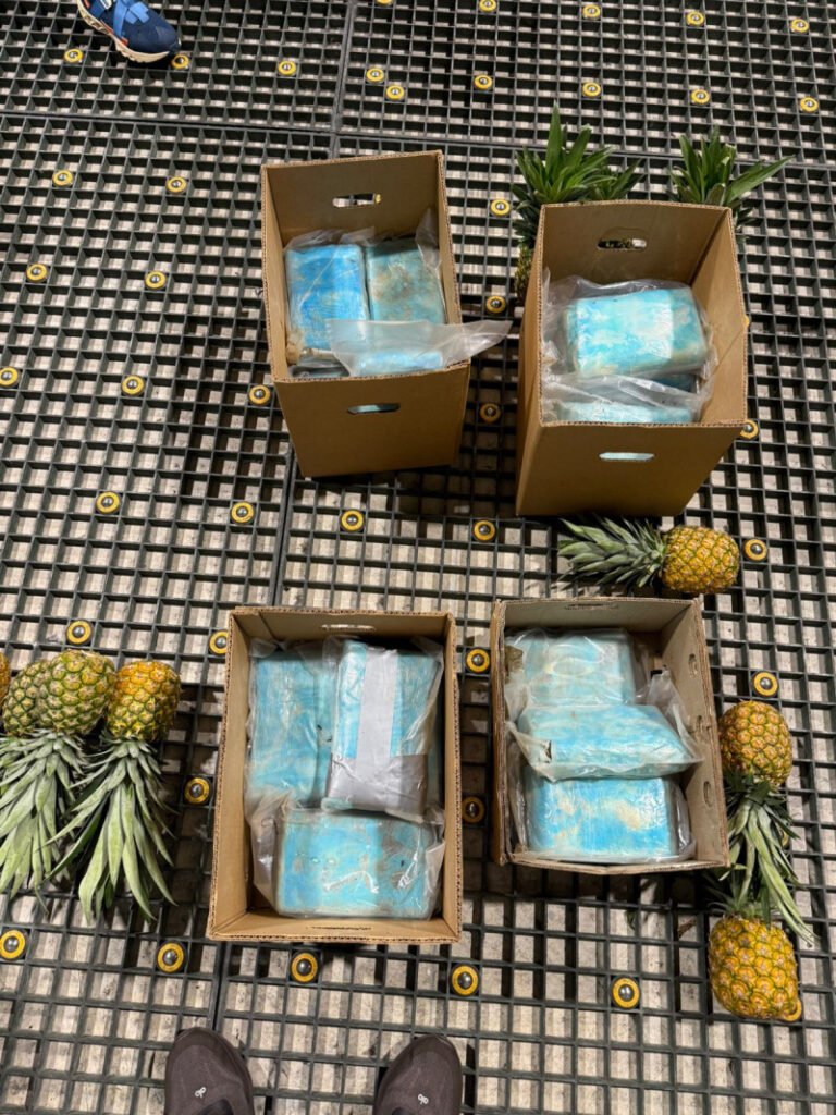 Incautan 30 paquetes de drogas en piñas