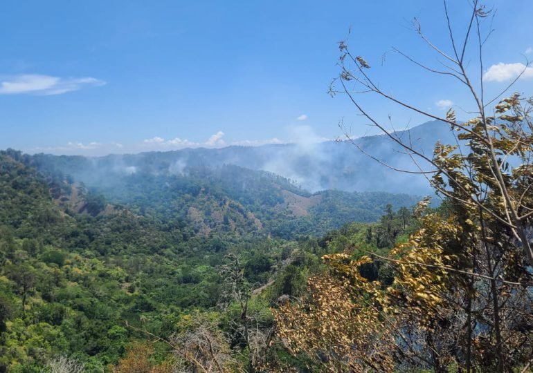 Bomberos sofocan incendio en Jánico, La Vega