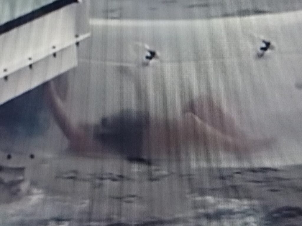 Pasajera queda atrapada en tobogán de crucero