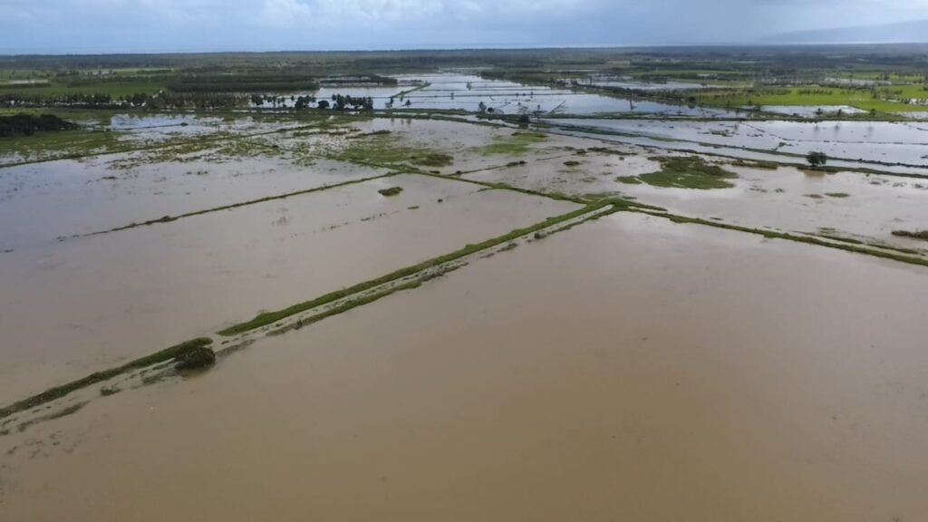 Desborde de los ríos Nagua y Helechal afecta zona arrocera en María Trinidad Sánchez